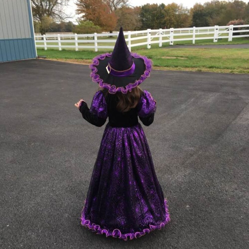 Chasing Fireflies Hallows Eve Spider Witch Purple Black Velvet Halloween Costume - Picture 8 of 16